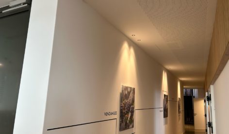 Maison des Vins: pose de plafonds acoustiques perforés
